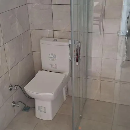 Denize Sifir Mustakil Ev Mazi 172 4 דירה