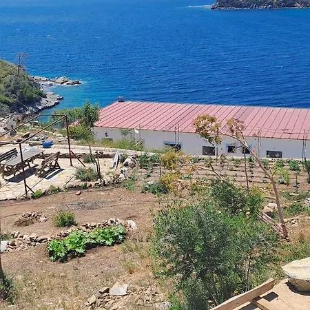 Denize Sifir Mustakil Ev Mazi 172 4